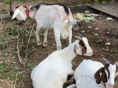 -潭柘厚院(桑峪村店)