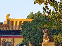 -方山风景区定林寺