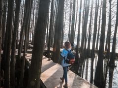 -东湖落雁景区