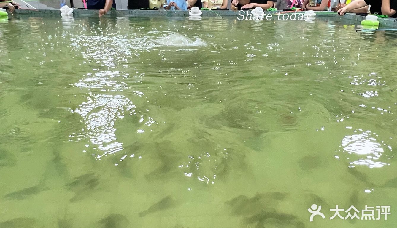 天气这么热，这个1元的快乐，你们有没有上车？