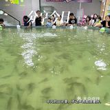 天气这么热，这个1元的快乐，你们有没有上车？