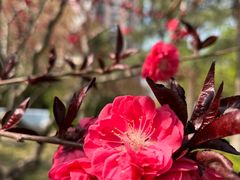 -元大都城垣遗址公园