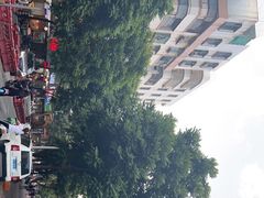 -阿群甘草水果