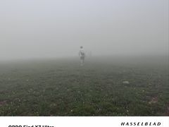 -灵山