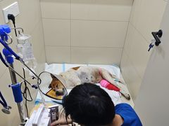 -御宝贝24h宠物医院·转诊中心·CT核磁血透中心(厦门总院)