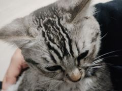 -猫岛主趣味餐厅(鼓浪屿店)