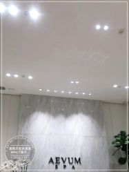-奥斯芬欧系贵族SPA