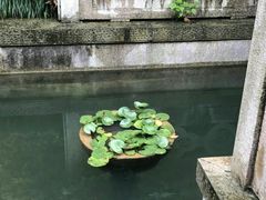 -西湖外事游船(花港观鱼码头)