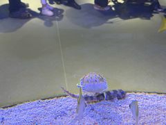 -欢乐海岸海洋奇梦馆
