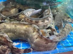 -旺角小渔村(二马路店)