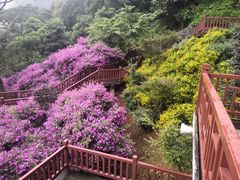 -广州市石门国家森林公园