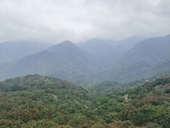 -广州市石门国家森林公园