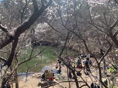 -北京凤凰岭