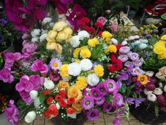 -秦美花卉(天朗·莱茵小城2期店)