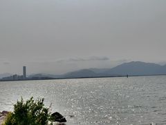 -深圳湾公园(南山区)