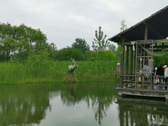 -溱湖国家湿地公园