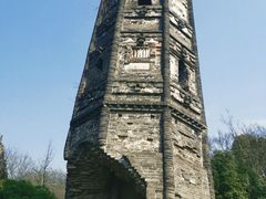 -上海佘山国家森林公园天马山园