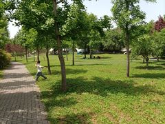 -洨河生态公园