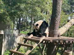 -安吉竹博园