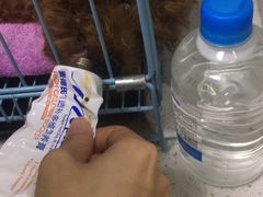 -瑞鹏宠物医院·夜间急症·心超·猫科(祖庙分店)