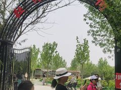 -太阳宫公园