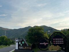 -大唐贡茶院
