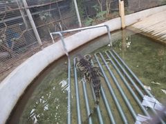 -呀路古热带植物园