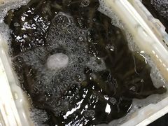-华威西营里农产品批发市场