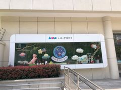 -上海儿童博物馆