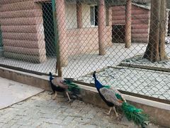 -南京金牛湖风景区