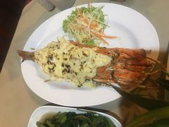 -Red Lobster