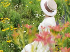 -春花秋色城市公园