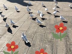 -天津妈祖文化园