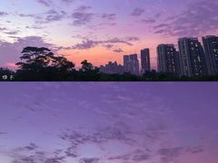 -福田红树林生态公园