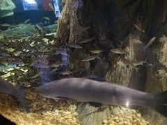 -成都浩海立方海洋公园