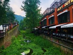 -Local泰莲庭(虹鳟鱼店)