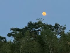 -不觉晓CAMPING(上海迪士尼营地店)