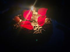 -云晓光头烧烤吧(川沙绿地店)