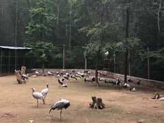 -哈尔滨北方森林动物园