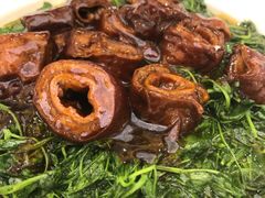 草头圈子-新南华大酒店(长寿店)