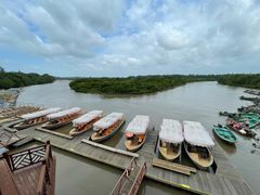 -东寨港红树林旅游区