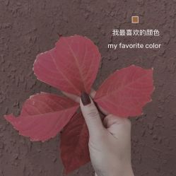 -染指坊日式美甲美睫设计中心