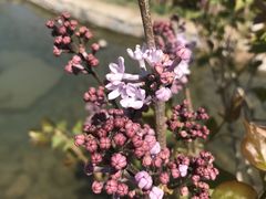 -三里河公园
