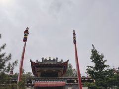 -塔尔寺菩提树