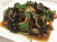 捞起黑牛柏叶-汇兴源餐馆(小北路店)
