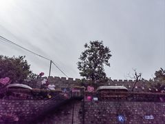 -京北渔家傲