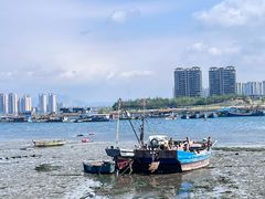 -养马岛旅游度假区
