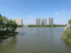 -南翔镇银翔湖公园