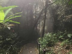 -七仙岭温泉国家森林公园