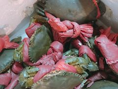 青蟹-黄沙水产交易市场